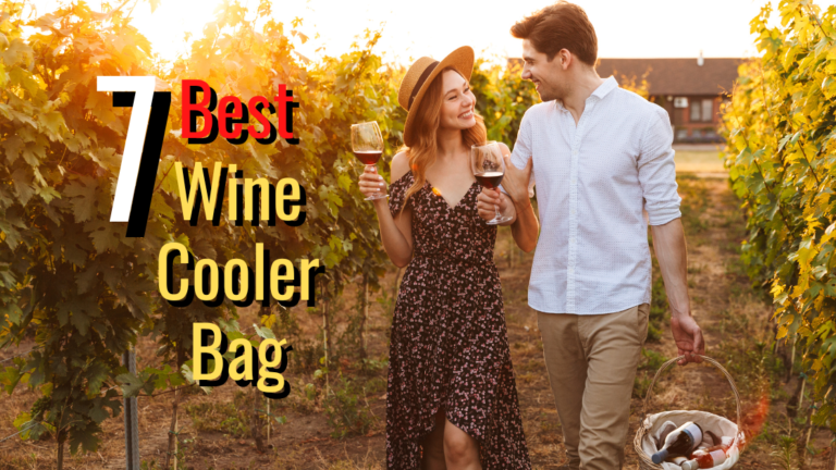 7 Best Portable Wine Cooler Bags: Travel in Style